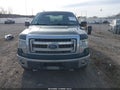 Photo 12 of 19 — 2013 Ford F-150