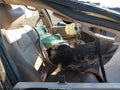 2003 Ford F-150 — photo 5 of 17 | VIN 1FTRW08L33KB27354
