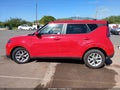 Photo 14 of 16 — 2025 Kia Soul