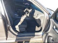 Photo 5 of 22 — 2020 Dodge Charger