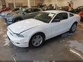 2013 Ford Mustang — photo 2 of 17 | VIN 1ZVBP8AM8D5255120