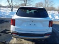 2024 Kia Sorento — photo 16 of 16 | VIN 5XYRLDJC3RG269910