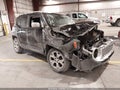 Photo 1 of 16 — 2015 Jeep Renegade