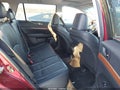 Photo 8 of 16 — 2013 Subaru Outback