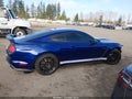 Photo 14 of 19 — 2016 Ford SHELBY