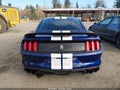 Photo 17 of 19 — 2016 Ford SHELBY