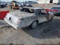1981 Chevrolet Monte Carlo — photo 4 of 10 | VIN 1G1AZ37K4BB435249