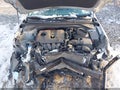 Photo 10 of 17 — 2020 Hyundai Elantra