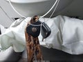 Photo 11 of 17 — 2007 Dodge Caliber