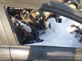2018 Subaru WRX — photo 5 of 13 | VIN JF1VA1A68J9805792