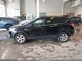 Photo 15 of 18 — 2016 Ford Escape