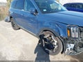 2025 Kia Telluride — photo 18 of 22 | VIN 5XYP6DGC2SG605994