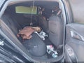 2018 Chevrolet Malibu — photo 8 of 12 | VIN 1G1ZB5ST0JF224138