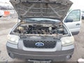 Photo 10 of 15 — 2006 Ford Escape