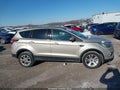 Photo 14 of 17 — 2017 Ford Escape
