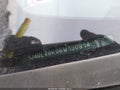 2006 Jeep Liberty — photo 11 of 11 | VIN 1J4GL48K06W130914