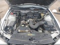 Photo 10 of 17 — 2008 Ford Mustang