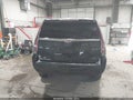 2016 Cadillac Escalade — photo 16 of 16 | VIN 1GYS4BKJ4GR176418