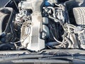 1991 Chevrolet Corvette — photo 10 of 10 | VIN 1G1YY2386M5101571