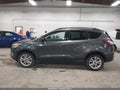 Photo 14 of 18 — 2017 Ford Escape