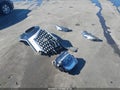 Photo 12 of 17 — 2021 Hyundai Palisade