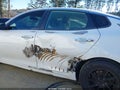 Photo 6 of 11 — 2016 Kia Optima