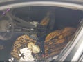 Photo 6 of 12 — 2024 Hyundai Elantra