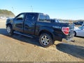 2013 Ford F-150 — photo 3 of 17 | VIN 1FTFW1EF8DFB34091