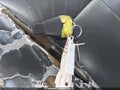 2010 Chrysler 300 — photo 11 of 11 | VIN 2C3CA5CVXAH246621