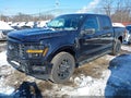 Photo 2 of 17 — 2025 Ford F-150