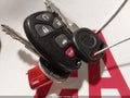 2006 Chevrolet Malibu — photo 11 of 11 | VIN 1G1ZT61856F113396