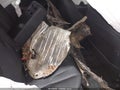 Photo 8 of 15 — 2025 Honda Accord