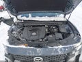 2024 Mazda CX-50 — photo 10 of 16 | VIN 7MMVABDM6RN191225