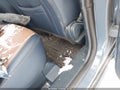 Photo 8 of 18 — 2024 Ford Maverick