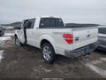 2011 Ford F-150 — photo 3 of 16 | VIN 1FTFW1EF1BFA06594