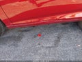 Photo 18 of 20 — 2025 Acura Integra