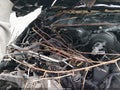 2016 Ram 2500 — photo 10 of 17 | VIN 3C6TR5CJ8GG372932
