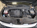 Photo 10 of 17 — 2024 Kia Sportage