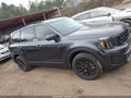 2025 Kia Telluride — photo 13 of 16 | VIN 5XYP3DGC3SG676355