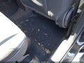 2015 Ford Escape — photo 8 of 17 | VIN 1FMCU9G92FUB23600