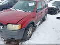 Photo 6 of 17 — 2004 Ford Escape