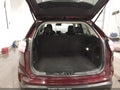 Photo 18 of 18 — 2024 Ford Edge