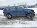 2019 Honda CR-V — photo 14 of 17 | VIN 5J6RW6H35KL003415