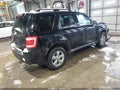 Photo 4 of 11 — 2010 Ford Escape
