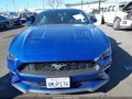 2018 Ford Mustang — photo 12 of 16 | VIN 1FA6P8TH7J5166600