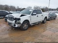 2008 Ford F-150 — photo 2 of 19 | VIN 1FTPW14V08FB06496