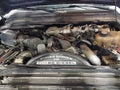 2008 Ford F-250 — photo 10 of 16 | VIN 1FTSX21R48EA51688