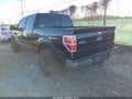 Photo 3 of 16 — 2013 Ford F-150