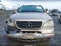 Photo 12 of 18 — 2001 Mercedes-Benz ML-Class