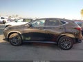 Photo 14 of 16 — 2022 Lexus NX 350
